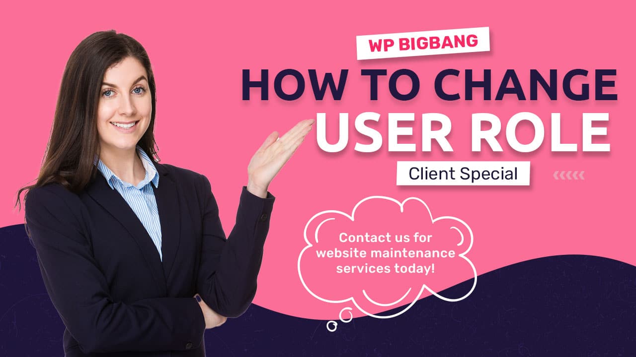 How to change user role in wordpress 1 1 - WP BigBang