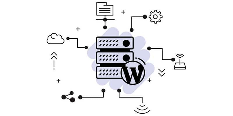 The risks of not optimizing WordPress hosting WP BigBang.com 1 - WP BigBang